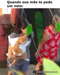 Quando sua mãe te pede um neto: