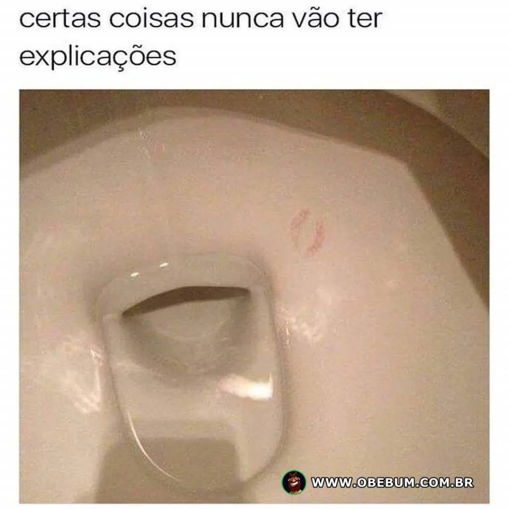 Certas coisas nunca vão ter explicações