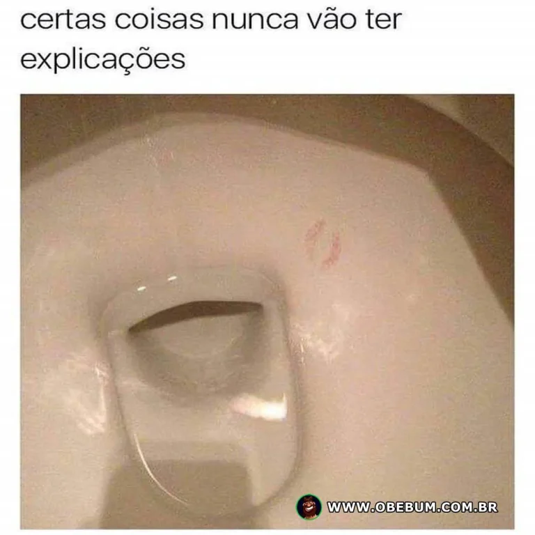 Certas coisas nunca vão ter explicações