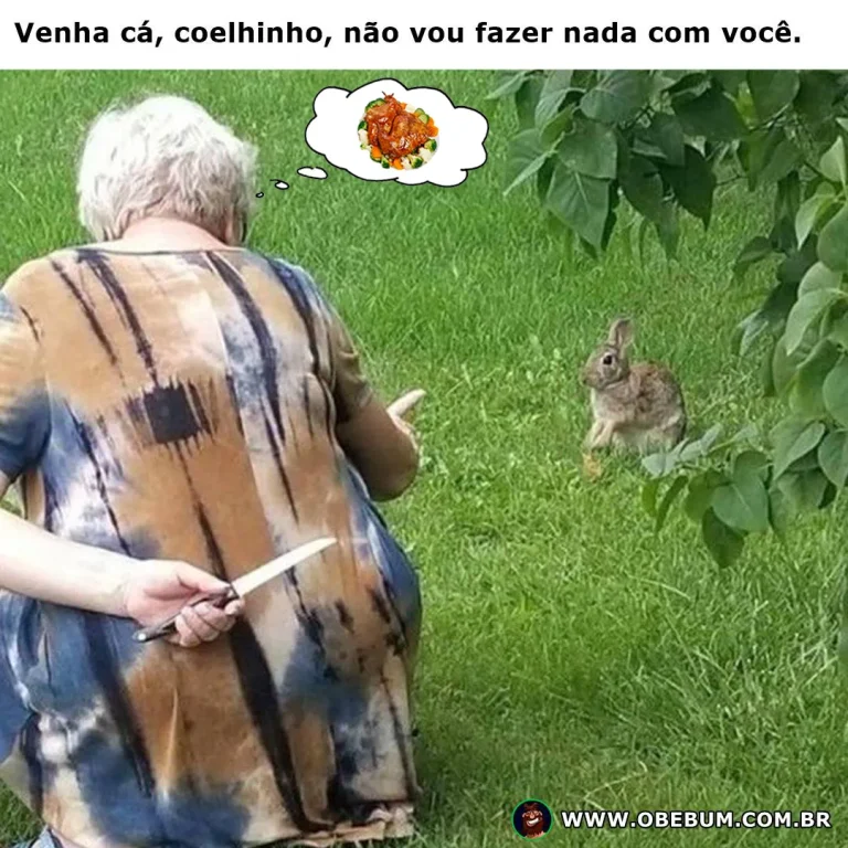 Venha cá, coelhinho, não vou fazer nada com você.
