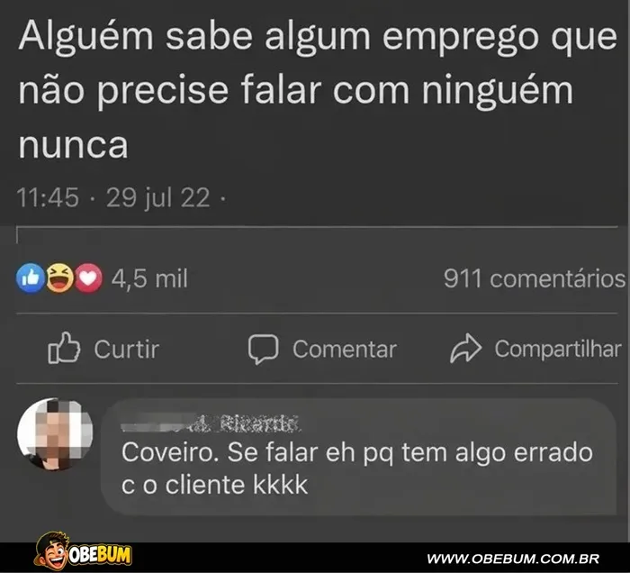 Comentário engraçado sobre um emprego onde a pessoa não precisa falar com ninguém