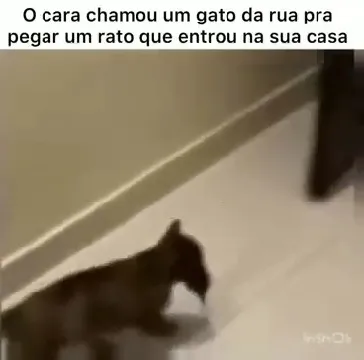 Chamou o especialista certo