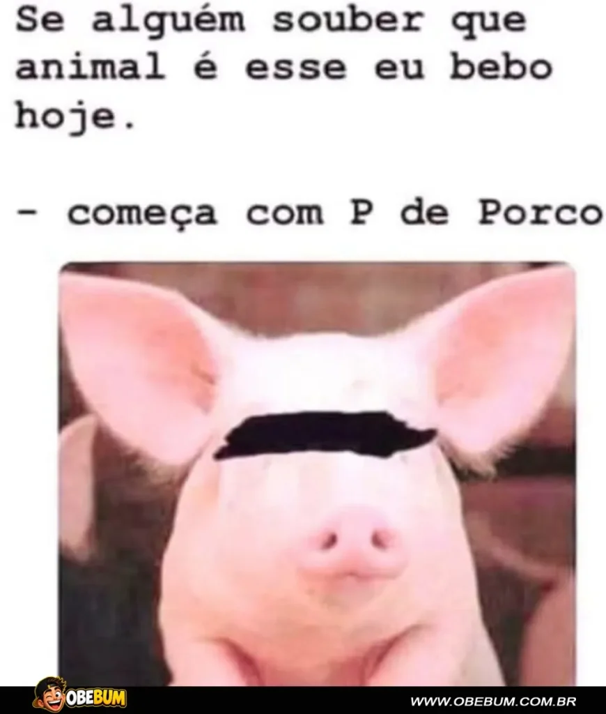 piada engraçada do porquinho com bigode