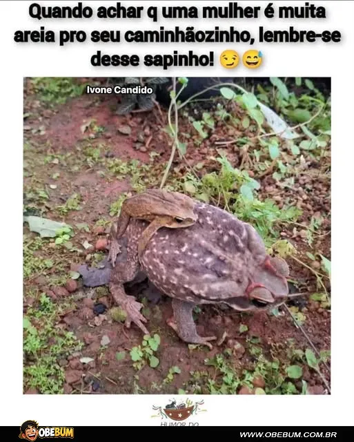 Meme engraçado de sapo com outro sapo maior, fazendo piada sobre tamanho e coragem.