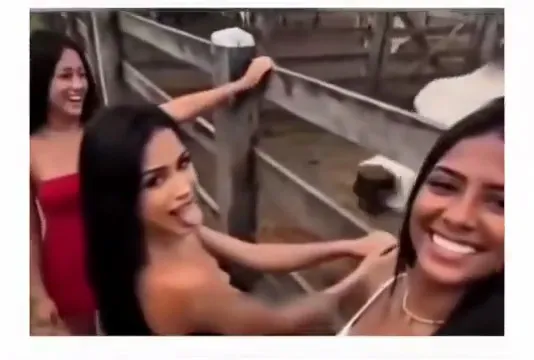 Mulher coloca a língua para fora perto de um boi e acaba levando uma lambida inesperada.
